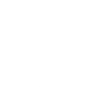Scandi Designs
